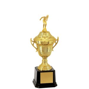 Troféu de Natação com 31 cm