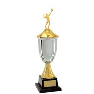 Troféu de Voleibol com 42cm