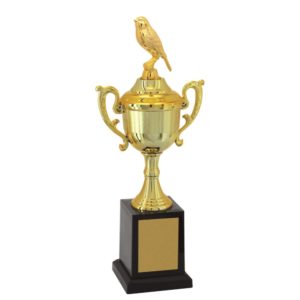 Troféu de Ornitologia com 37 cm