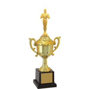 Troféu de Oscar com 33 cm