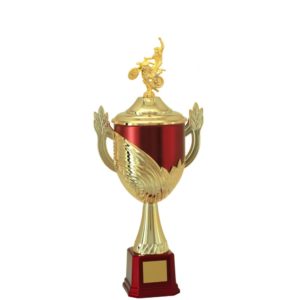 Troféu de Motocross com 52cm