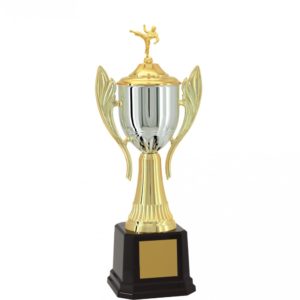 Troféu de Karate com 69 cm