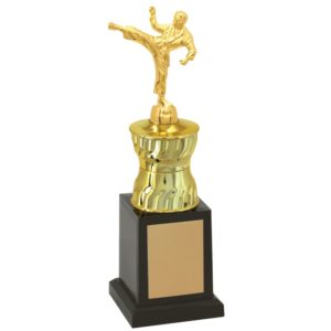Troféu de Karate com 28 cm