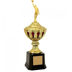 Troféu de Basquete com 50cm