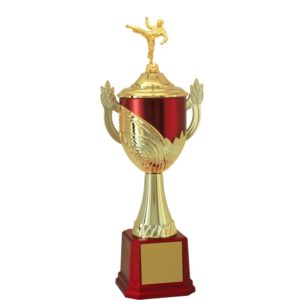 Troféu de Karatê com 64 cm - Image 1