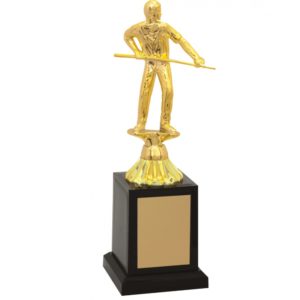 Troféu de Sinuca com 23cm - Image 1