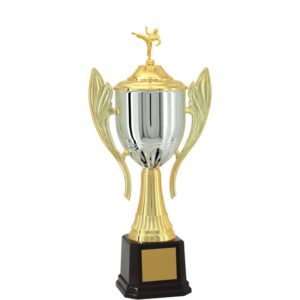 Troféu de Karate com 63 cm