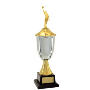Troféu de Basquete com 42cm