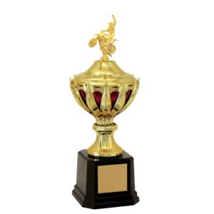 Troféu de Motocross com 50 cm