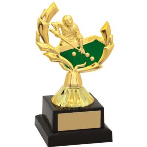 Troféu de Sinuca com 18cm - Image 1