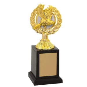 Troféu de Ornitologia com 23 cm