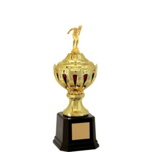 Troféu de Natação com 36 cm