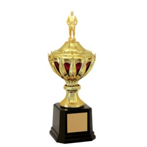 Troféu de Judô com 50 cm