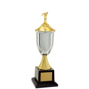 Troféu de Natação com 47 cm
