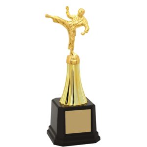 Troféu  de Karatê com 27 cm
