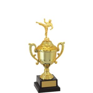 Troféu de Karate com 30 cm