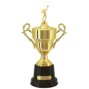 Troféu de Voleibol com 66cm