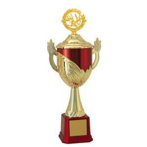 Troféu de Capoeira com 57cm