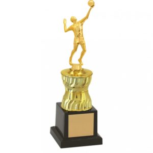 Troféu de Voleibol com 25cm