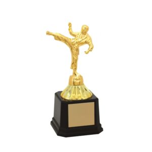 Troféu de Karatê com 14 cm