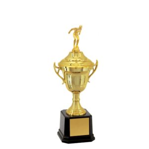 Troféu de Natação com 34 cm
