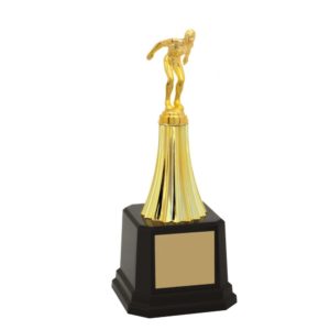 Troféu de Natação com 27 cm