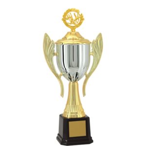 Troféu de Capoeira com 63cm