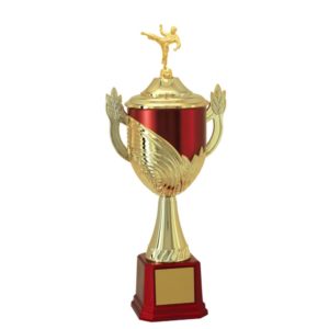 Troféu de Karatê com 57 cm