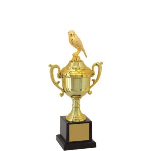 Troféu de Ornitologia com 33 cm - Image 1