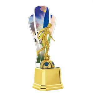 Troféu de Futebol em acrílico com 39cm