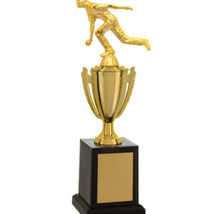 Troféu de Bocha com 31cm 501581-BC