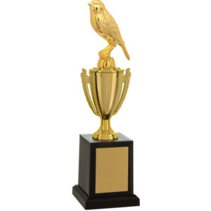 Troféu de Ornitologia com 31cm 501581-CN