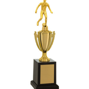 Troféu de Futebol com 31cm 501581-FT-020