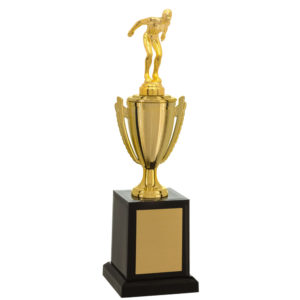 Troféu de Natação com 31cm 501581-NT