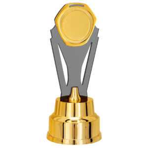 Troféu de acrílico com 24cm