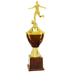 Troféu Vencedor de Futebol Feminino com 33cm 504193