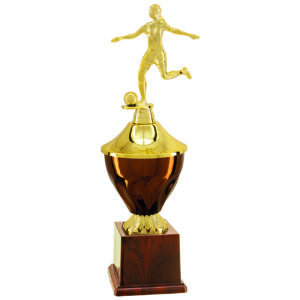 Troféu Vencedor de Futebol Feminino com 30cm 504194 - Imagem 1