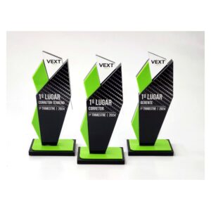Troféu Fibra de Carbono - 1º Lugar